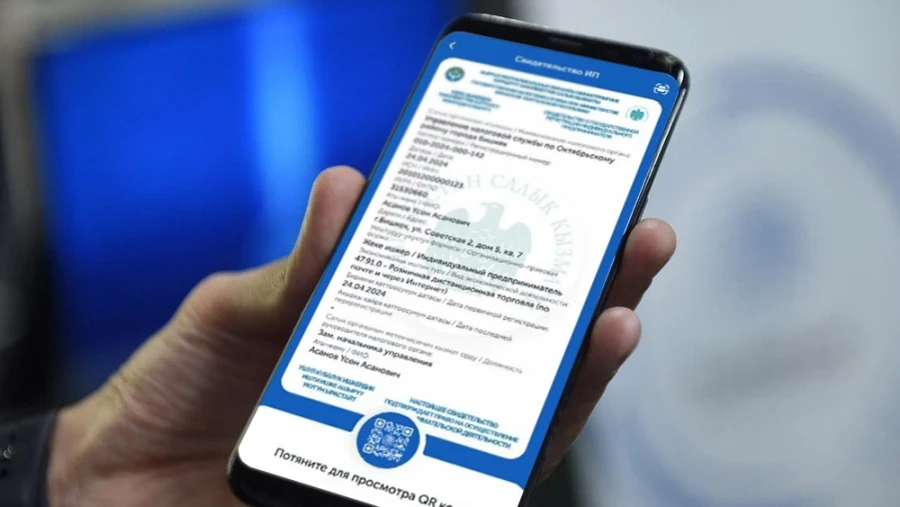 Цифровизация ГНС: внедрен сервис онлайн-перерегистрации ИП