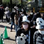 In Japan, tears are shed as farewell is said to the twin pandas who must return to China ahead of schedule
