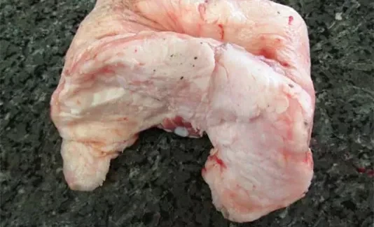 В Кыргызстан пытались ввезти 20 тонн курдючного жира из Китая с нарушением саннорм