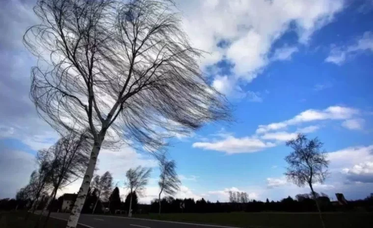 В Бишкеке и Чуйской долине ожидается сильный ветер