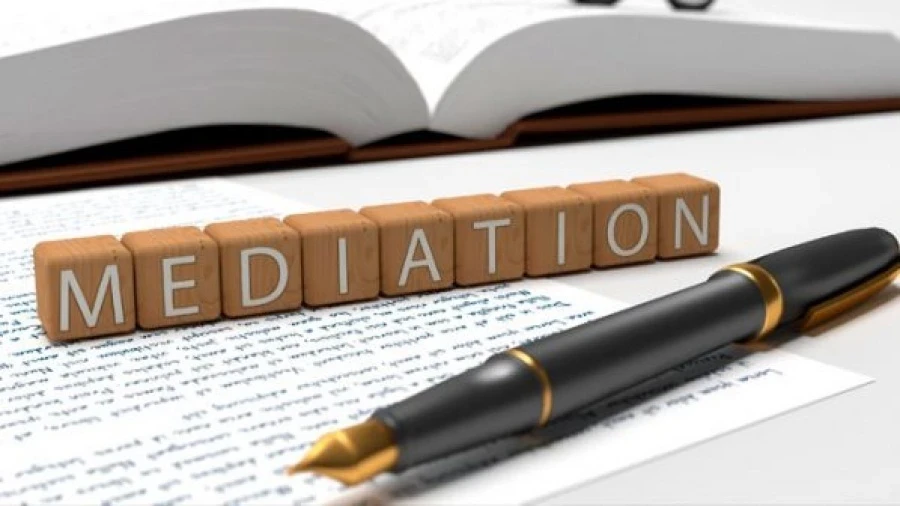 Медиатор Боромбаева: Бишкек может стать центром урегулирования споров