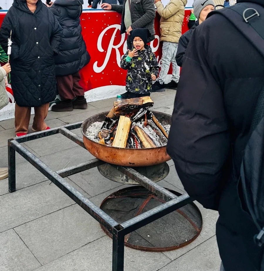 The Ministry of Natural Resources fined a person for setting fire at Ala-Too Square