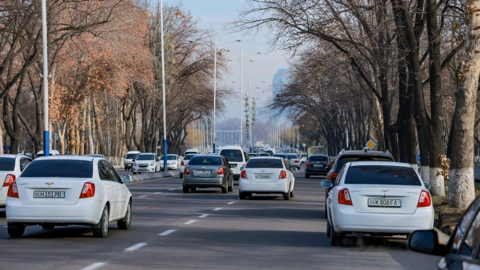 Осадки и туман: какая погода ждет узбекистанцев в конце декабря?