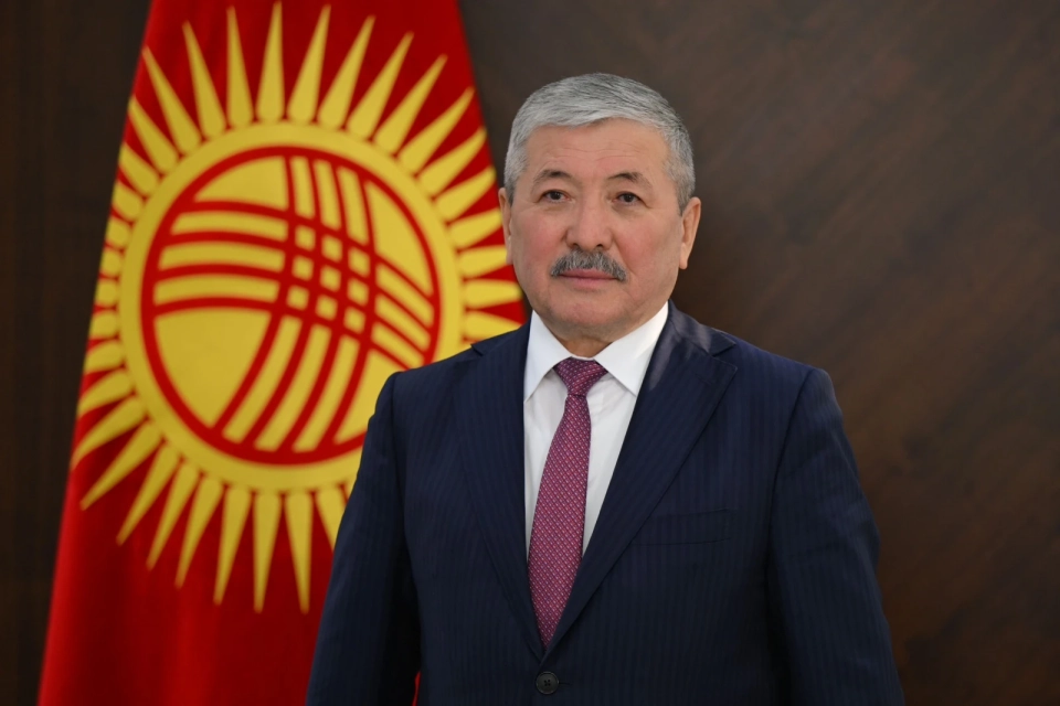 Таможня принесла бюджету Кыргызстана более 156 миллиардов сомов