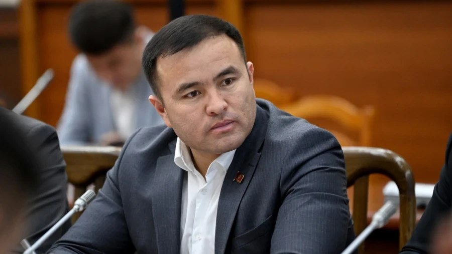 Лошади, змеи, кролики Жогорку Кенеша и гороскоп от ИИ