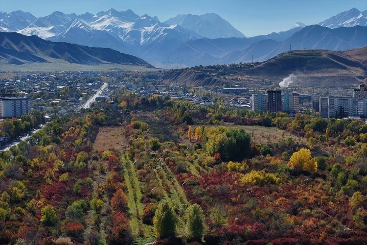 «Что осталось от Ботанического сада?» В Сети обсуждают новое тревожное видео