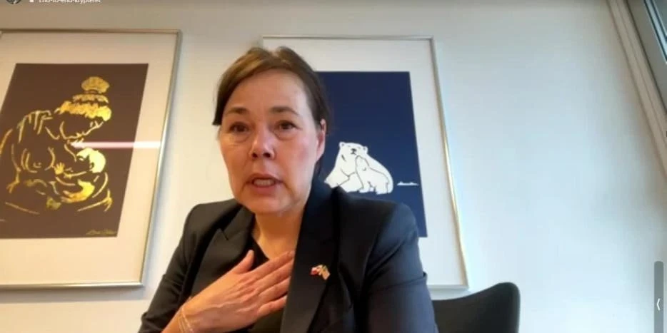 Аннексия Гренландии. Глава МИД расплакалась во время интервью