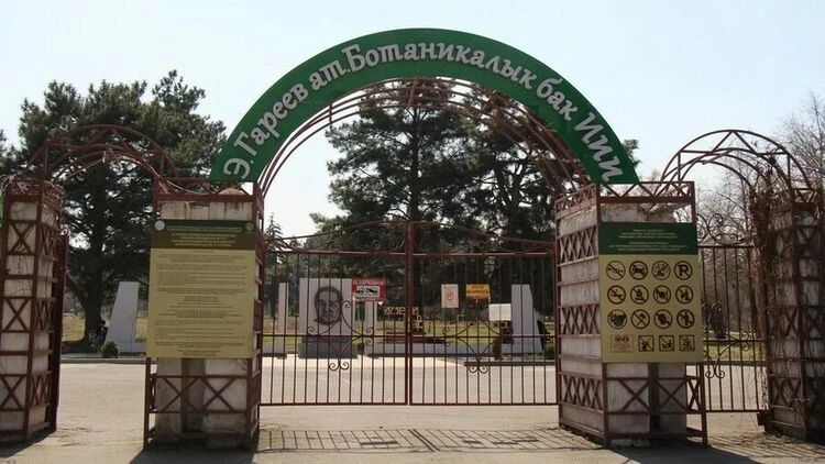 Не уничтожайте Ботанический сад: горожане призывают подписать петицию