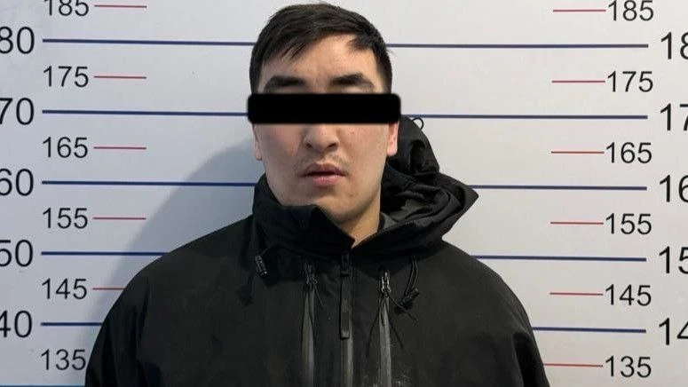 In Bishkek, a suspect in the attempted murder of a girl has been detained