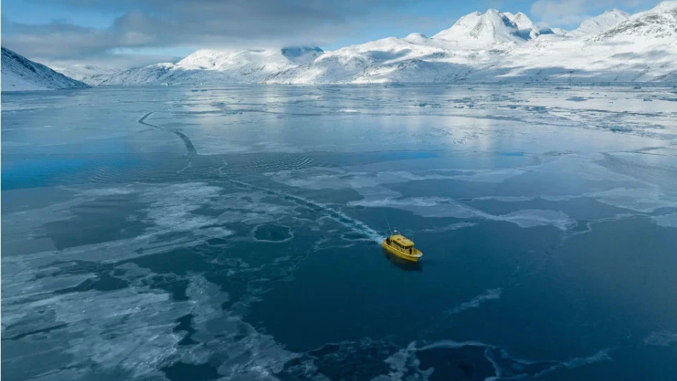 Трамп объявил о пошлинах в 10% для восьми стран Европы из-за Гренландии. Европейские лидеры выступили с совместным заявлением