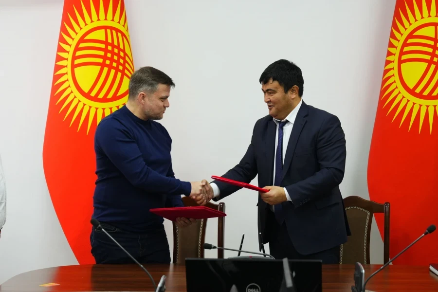 Врачи Кыргызстана получат доступ к социальным магазинам