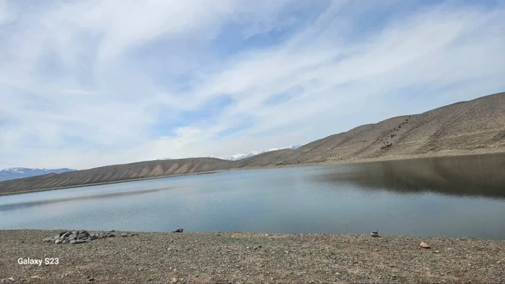 Кыргызстанда балыкты санариптик көзөмөлдөө системасы ишке киргизилет