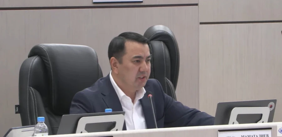 Депутат: пособий для людей с ОВЗ и их ассистентов недостаточно для жизни