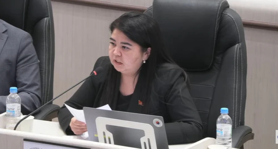 В Жогорку Кенеше предлагают создать государственный фонд для помощи больным