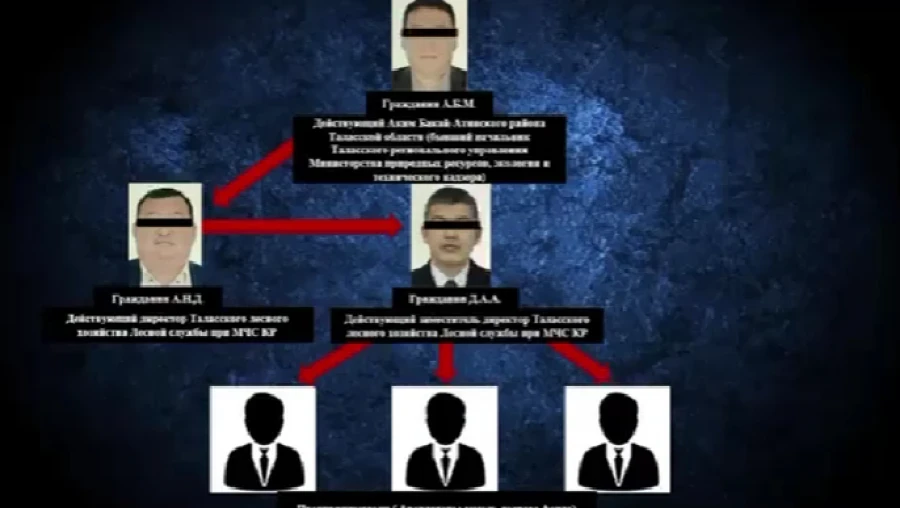 В Таласской области задержали акима и директора лесного хозяйства