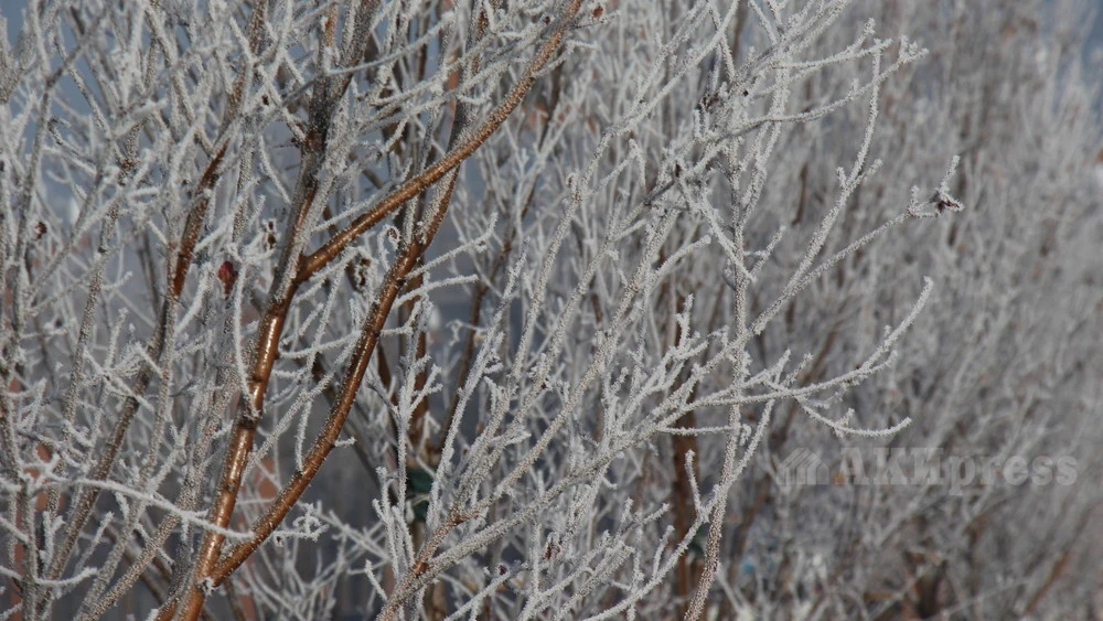 На большей части Казахстана в ближайшие дни ожидается снег