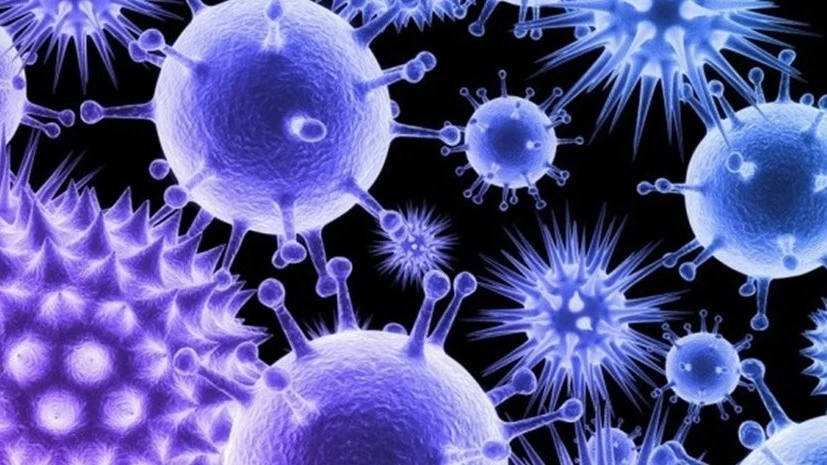 Распространяющийся в Индии вирус Nipah в Узбекистане не выявлен, - Санэпидкомитет РУз