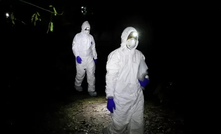 Распространение вируса Нипах возможно из-за низкой изученности, заявила ВОЗ