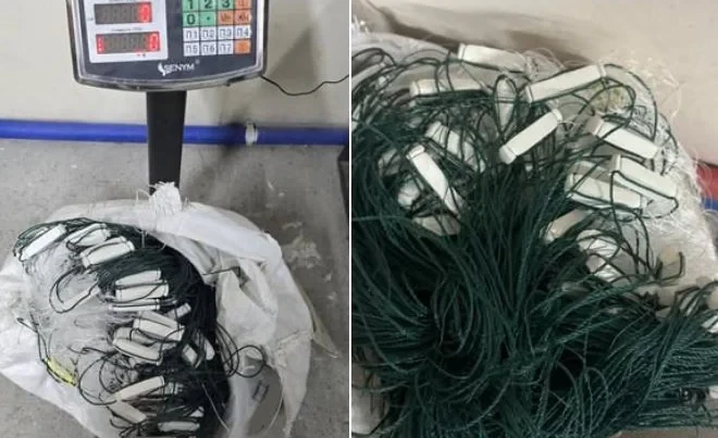 Таможенники пресекли ввоз 11,8 кг запрещенных рыболовных сетей