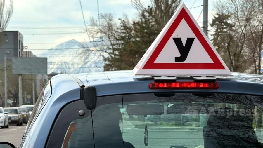 Дайырбек Орунбеков: Два с половиной месяца не хватит, чтобы подготовить водителя