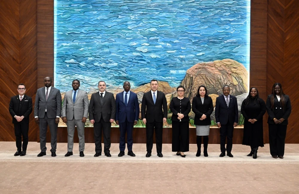 Садыр Жапаров обсудил с представителями стран при ООН глобальную безопасность и климат