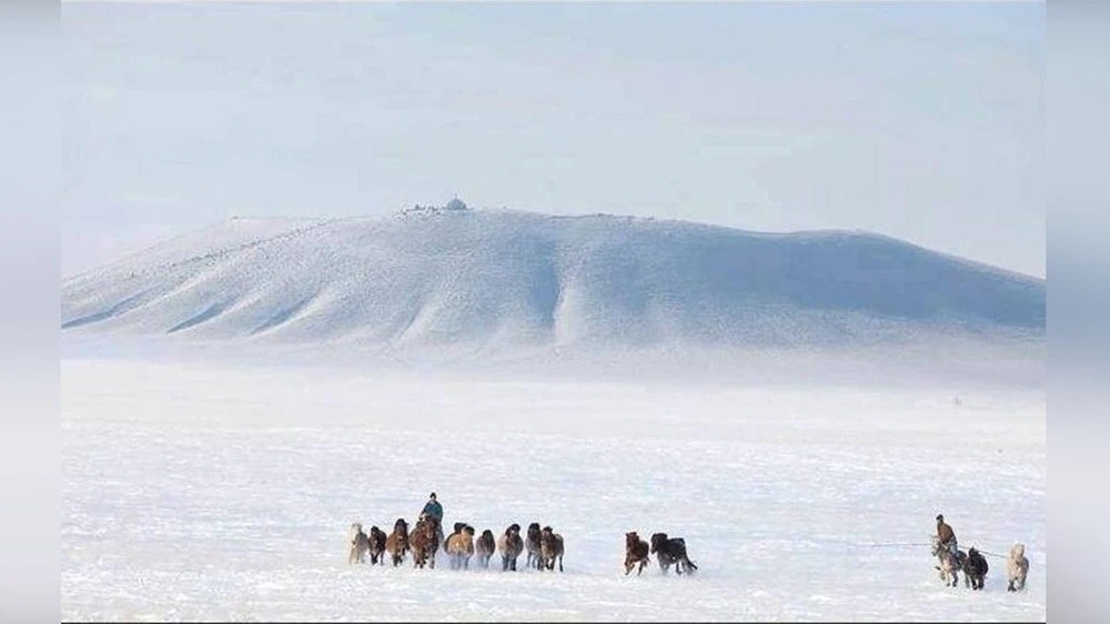 На равнинах Дарьганги выпадет снег
