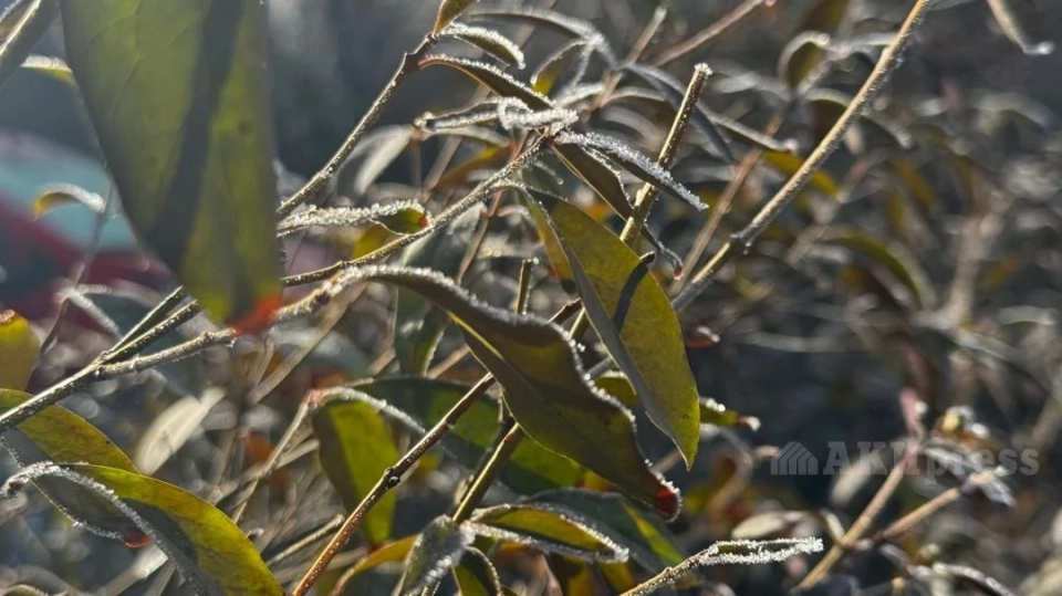 Во второй половине недели в Узбекистане похолодает, ожидаются дожди и снег