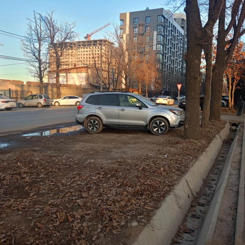 Стихийная парковка вместо зеленых зон. Горожане просят обратить внимание на улицу Айни