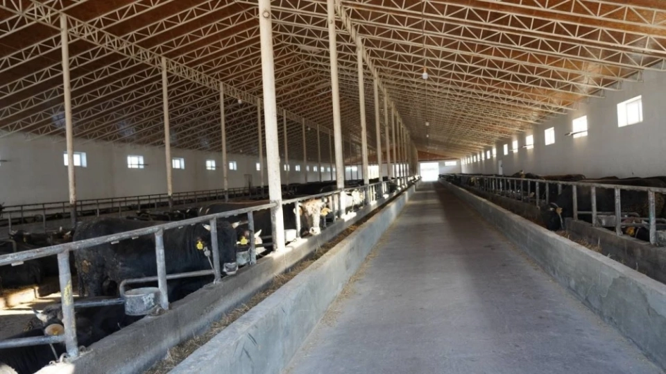 Минсельхоз КР подвел итоги селекционной работы