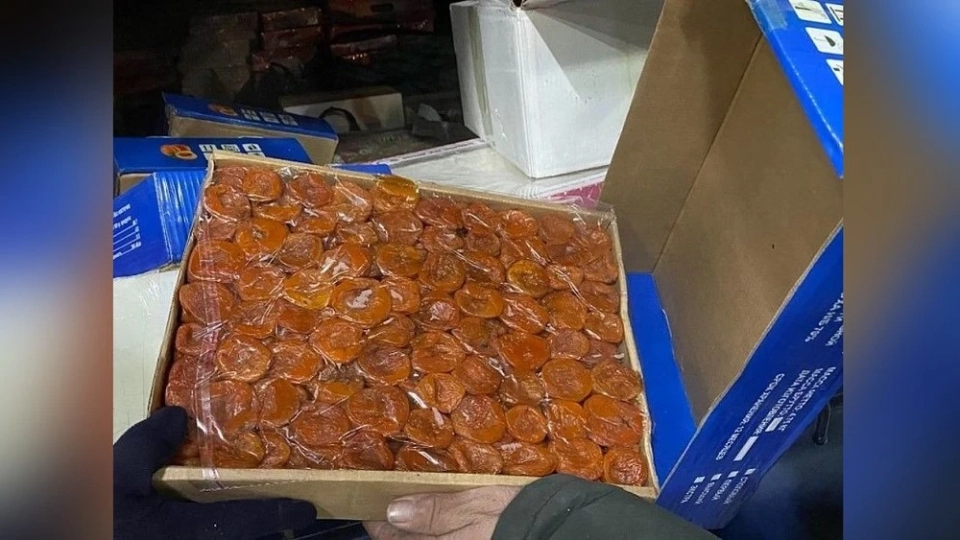 Гражданка Монголии пыталась вывезти из РФ 75 кг кураги и фруктово-ореховой смеси