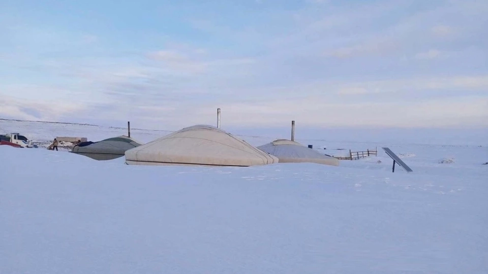 На Монголию обрушился дзуд