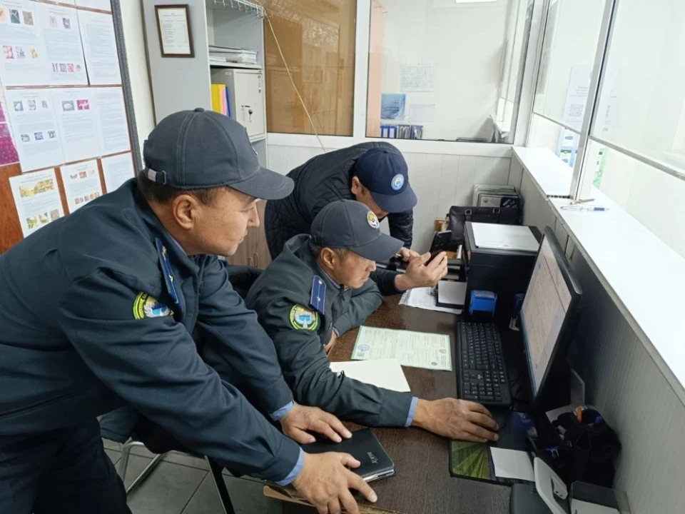 Кыргызстан развернул на границе 15 тонн сомнительного кумыса из России