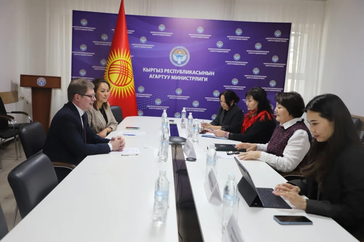 ЕС поможет Кыргызстану разработать пособия по иностранным языкам для школ