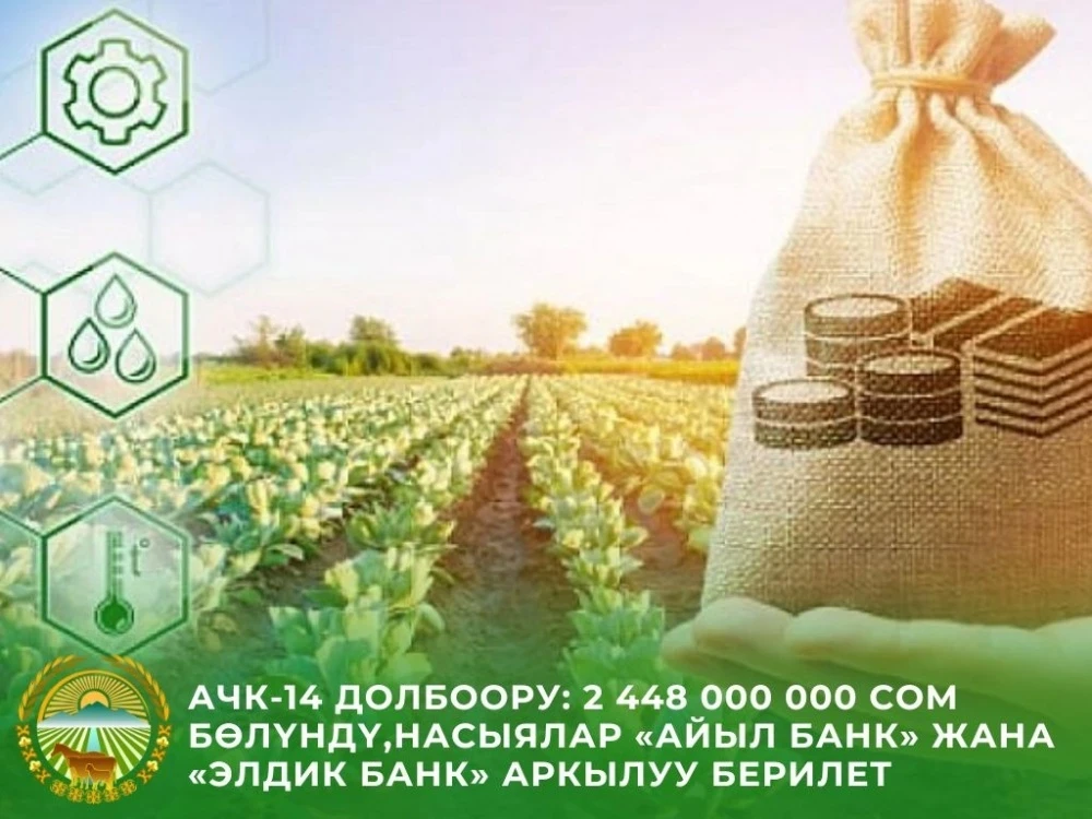 Фермерам выдадут льготные кредиты под 6 % годовых в рамках проекта ФСХ-14