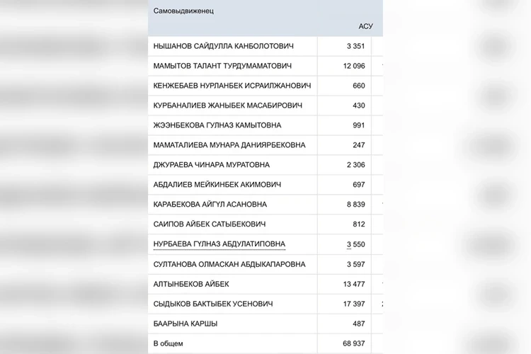 ЦИК пересмотрела итоги выборов в округе № 13 и признала их состоявшимися