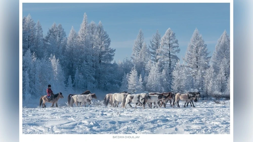 Погода в Монголии стабильная