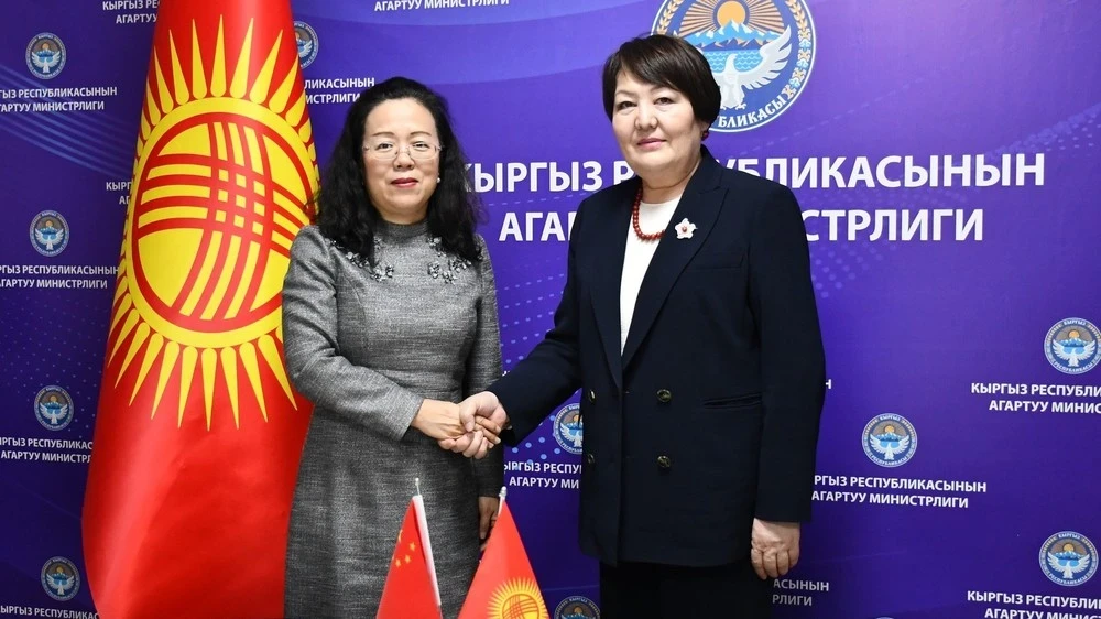 Министр просвещения обсудила с послом Китая сотрудничество в сфере образования