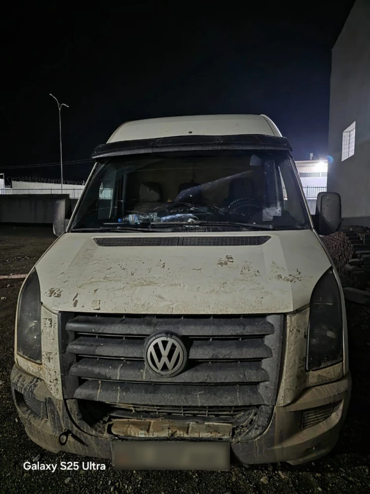 Из Кыргызстана пытались незаконно вывезти скот на миллион сомов