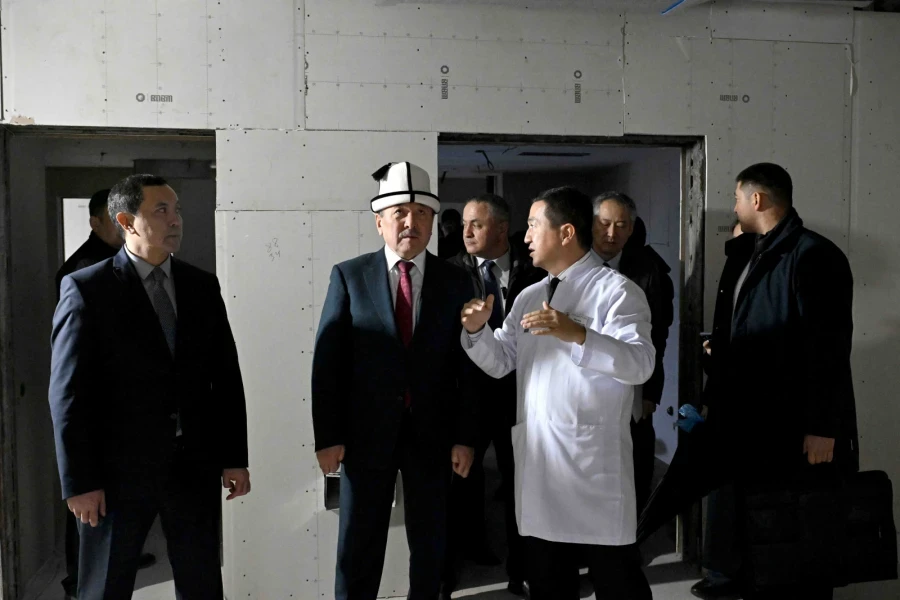 Глава Кабмина поручил завершить ремонт в НИИ хирургии сердца и трансплантации органов до 1 марта