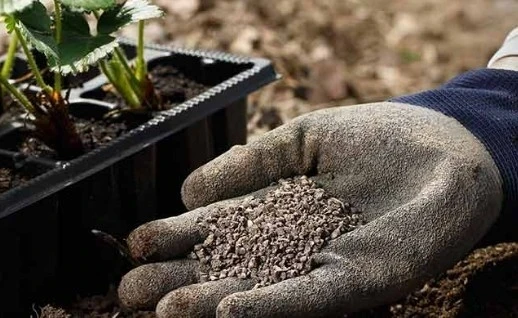 Динара Чоробекова: Почему нельзя форсировать переход к органике?