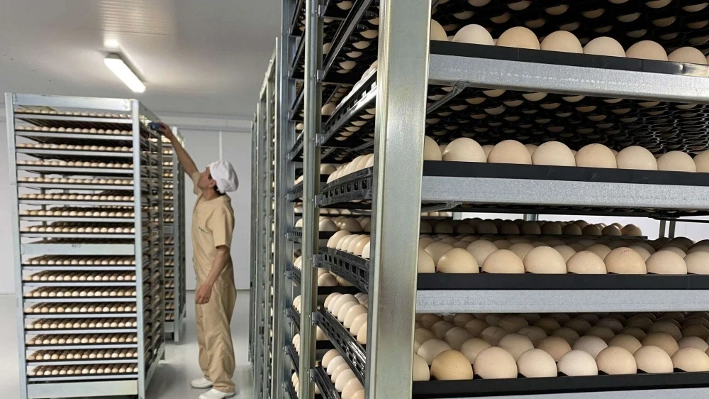 Бакыт Торобаев проверил расширение птицекомплекса "Агрокуш"