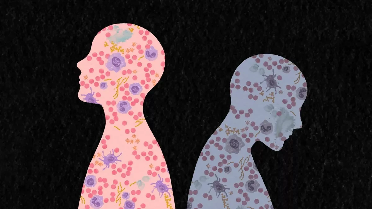 Учёные обнаружили, как жизненный опыт переписывает иммунную систему