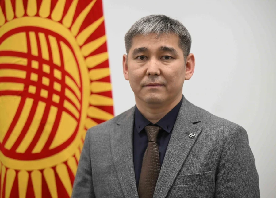 Дамирбек Осмонов стал и.о. министра здравоохранения