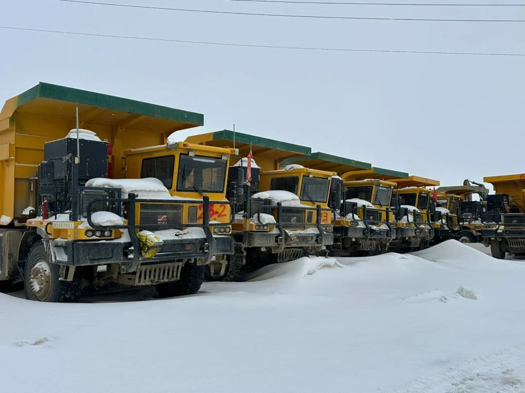 The Customs Revealed a Massive Fraud in the Import of Cars from China to Kyrgyzstan