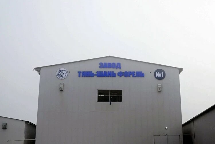 "Tien Shan Trout": Compensation in Double Amount Promised for Domestic Feed