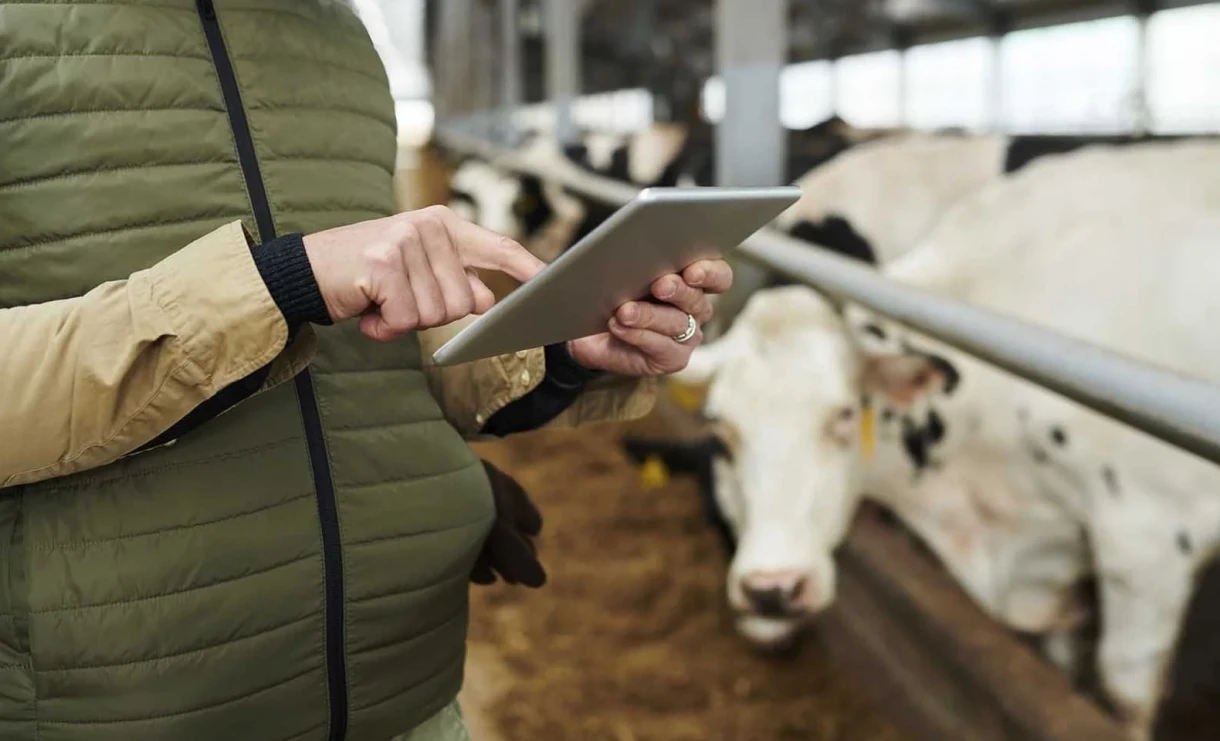 Как пройдет сельхозперепись – 2026 в Кыргызстане, рассказали в Нацстаткоме КР