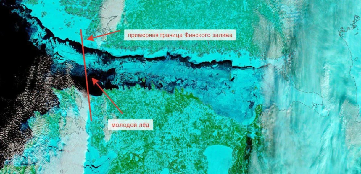 Финский залив впервые за 15 лет полностью покрылся льдом