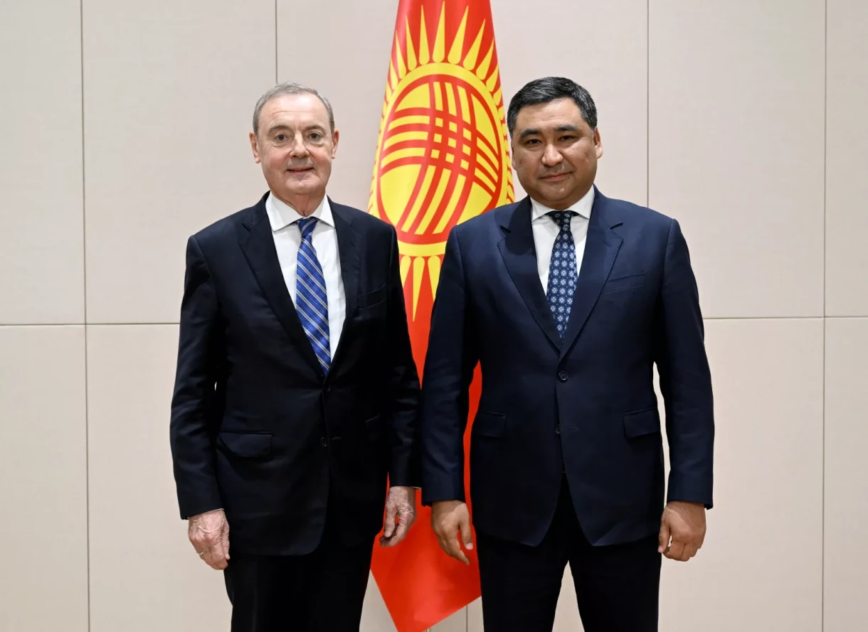 The First Deputy Head of the Cabinet of Ministers of Kyrgyzstan and the EU Special Envoy Discussed Sanctions Issues