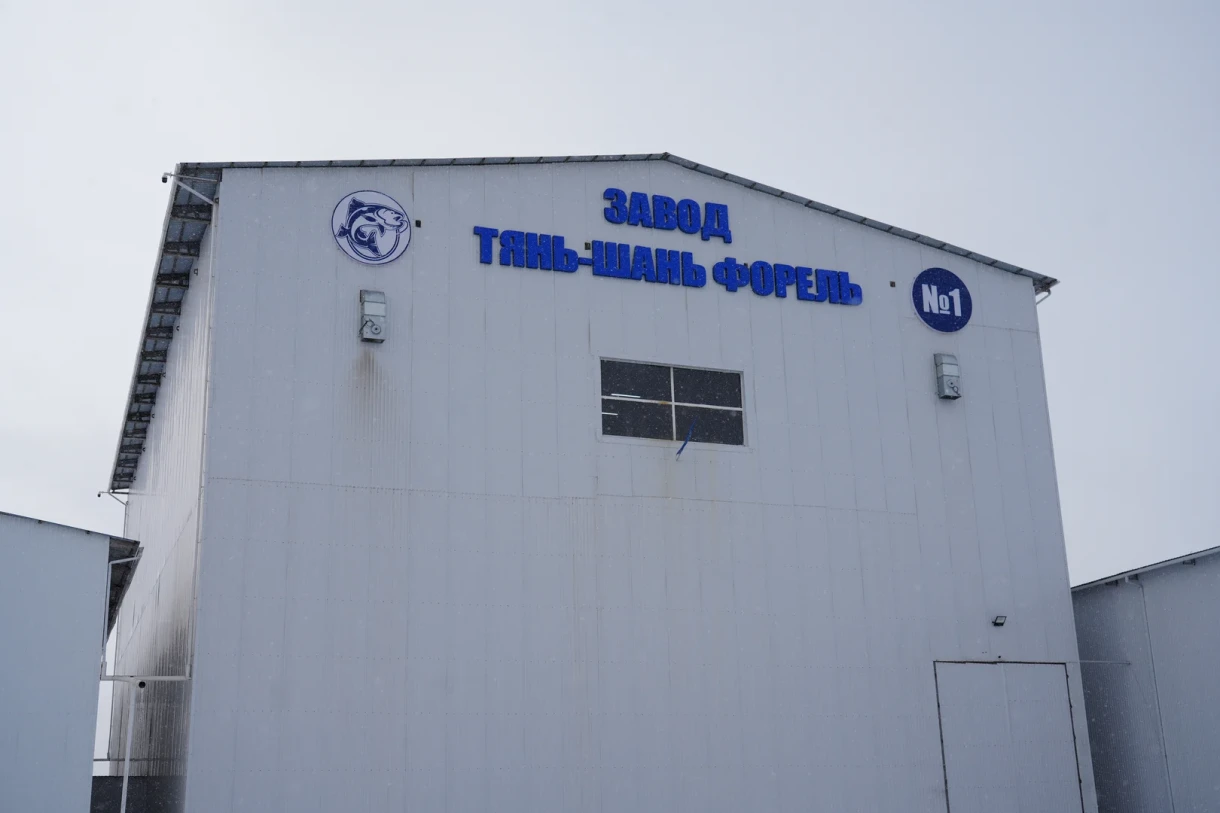 A Fish Feed Plant Opened in the Chui Region. The Founder Responded to Rumors About Quality