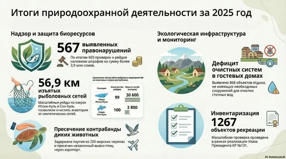 The Ministry of Natural Resources has identified hundreds of violations: turtles, nets, and fines in the millions